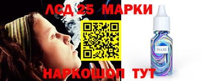 спиды Обь