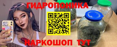 спиды Обь