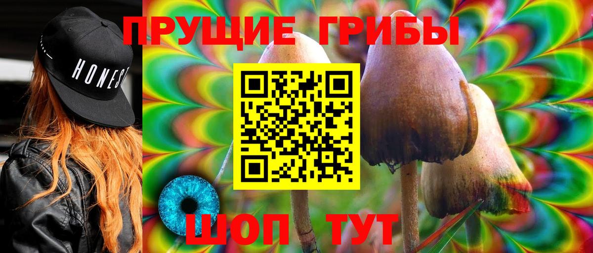 Псилоцибиновые грибы мицелий  Вход с VPN  Солнечногорск 